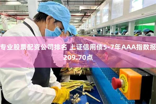 专业股票配资公司排名 上证信用债5-7年AAA指数报209.70点