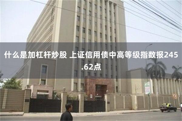 什么是加杠杆炒股 上证信用债中高等级指数报245.62点