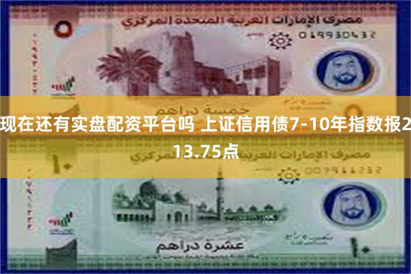 现在还有实盘配资平台吗 上证信用债7-10年指数报213.75点