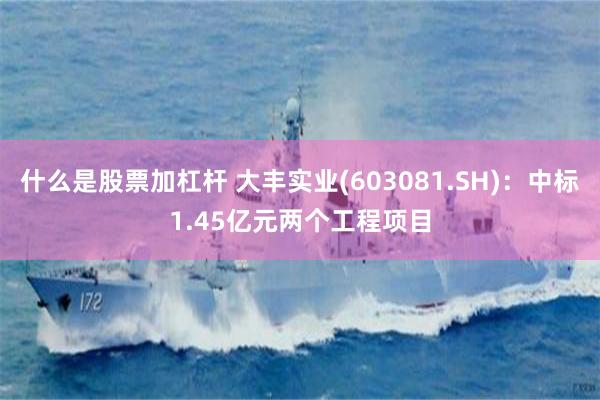 什么是股票加杠杆 大丰实业(603081.SH)：中标1.45亿元两个工程项目