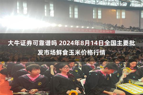 大牛证券可靠谱吗 2024年8月14日全国主要批发市场鲜食玉米价格行情