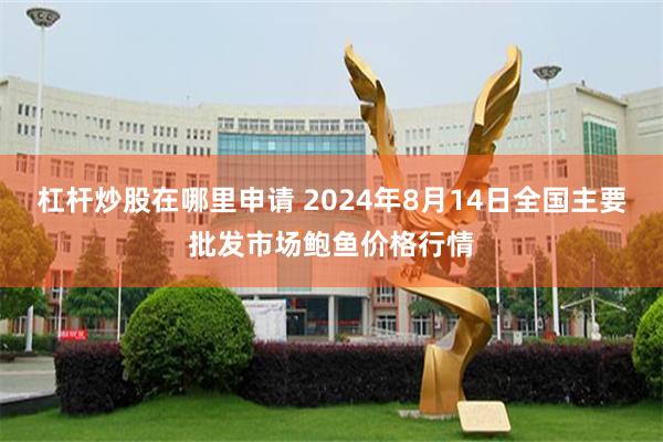 杠杆炒股在哪里申请 2024年8月14日全国主要批发市场鲍鱼价格行情