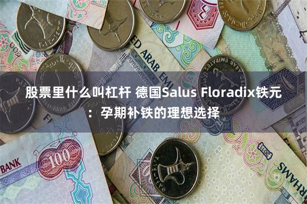 股票里什么叫杠杆 德国Salus Floradix铁元：孕期补铁的理想选择