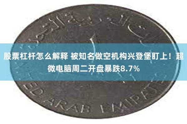 股票杠杆怎么解释 被知名做空机构兴登堡盯上！超微电脑周二开盘暴跌8.7%