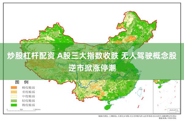 炒股杠杆配资 A股三大指数收跌 无人驾驶概念股逆市掀涨停潮