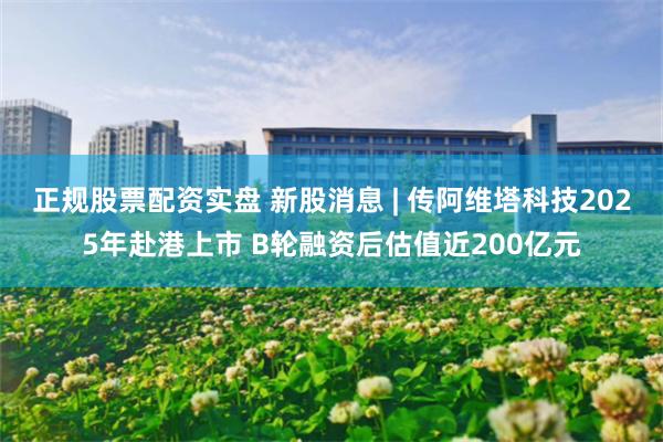 正规股票配资实盘 新股消息 | 传阿维塔科技2025年赴港上市 B轮融资后估值近200亿元