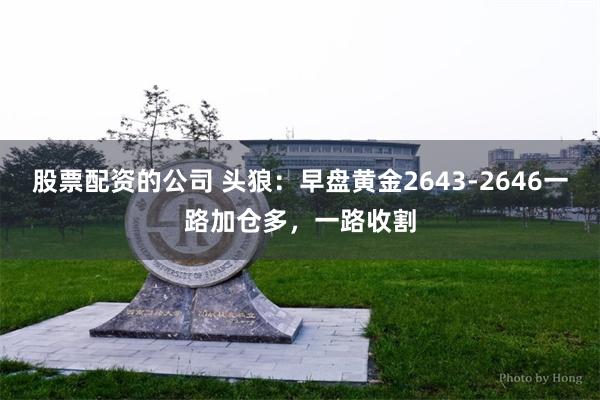 股票配资的公司 头狼：早盘黄金2643-2646一路加仓多，