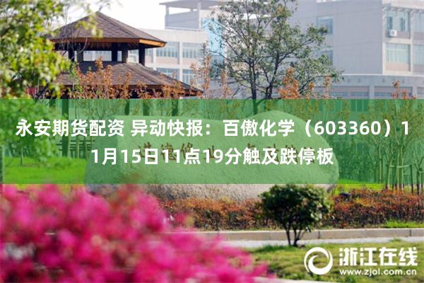 永安期货配资 异动快报：百傲化学（603360）11月15日