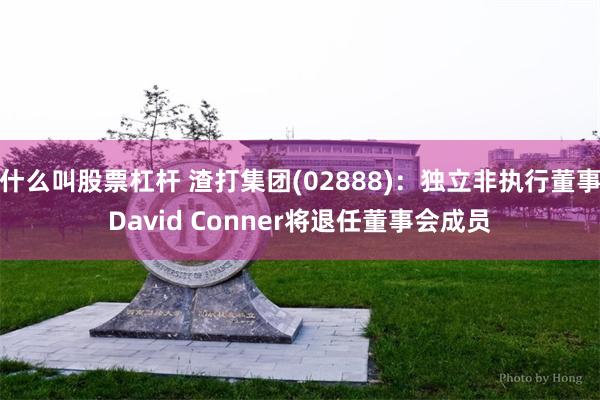 什么叫股票杠杆 渣打集团(02888)：独立非执行董事Dav