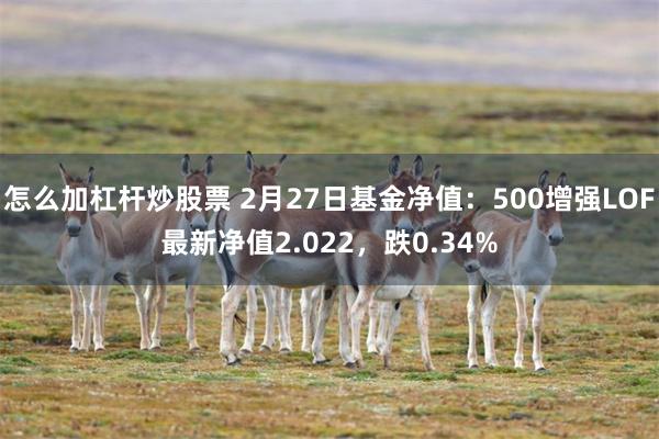 怎么加杠杆炒股票 2月27日基金净值：500增强LOF最新净值2.022，跌0.34%