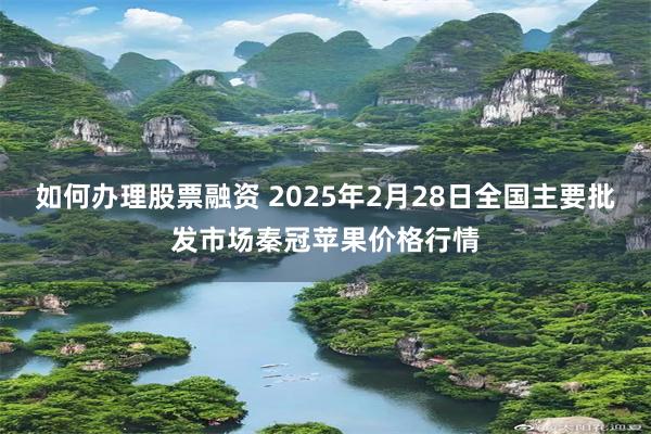 如何办理股票融资 2025年2月28日全国主要批发市场秦冠苹果价格行情